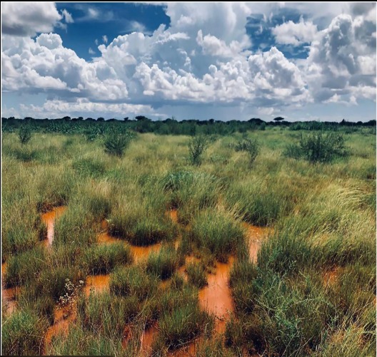 Sustainable water management